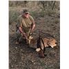 Image 1 : 2 Day Texas Axis Deer, Blackbuck or Aoudad Hunt for One Hunter