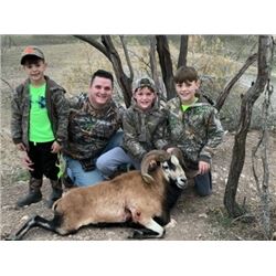 2 Day Parent and Child Hunt for Two Rams Includes Trophy fees for Two Sheep