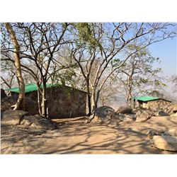 10-day Mozambique Kudu and Plains Game Hunt for Two Hunters