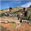 Image 2 : Arizona: 5 Day Trophy Coues Deer Muzzleloader Hunt for 2 Hunters