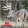Image 2 : Texas: 3 Day 2 Night Whitetail & Exotic Combo Hunt for 2 Hunters / Includes $6,000 Trophy Fee