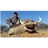 Image 7 : South Africa: 12 Day Plains Game Hunt for Two Hunters / Includes a $3,000 Trophy Fee Credit