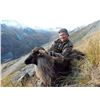 Image 5 : New Zealand: 8 Day 3 Hunter Red Stag, Tahr & Chamois hunt, includes $21,900 in trophy fees.