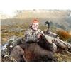 Image 8 : New Zealand: 8 Day 3 Hunter Red Stag, Tahr & Chamois hunt, includes $21,900 in trophy fees.