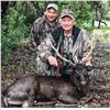 Image 2 : Texas: 2 Day Trophy Sika Stag and Wild Boar Hunt for 1 Hunter & 1 Observer