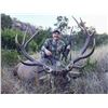 Image 8 : Texas: 2 Day Trophy Sika Stag and Wild Boar Hunt for 1 Hunter & 1 Observer