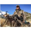 Image 2 : New Zealand: 3 Day 3 Night Chamois Hunt for Three Hunters, Including the Trophy Fees for 3 Chamois