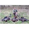 Image 4 : Kansas: 2 Day 2 Night Eastern Wild Turkey Hunt for 2 Hunters / Includes 1 Turkey Per Hunter