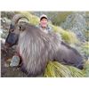Image 5 : New Zealand: 4 Day 3 Night Himalayan tahr for 1 hunter and 1 observer,  trophy fee included