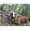 Image 7 : New Zealand: 4 Day 3 Night Himalayan tahr for 1 hunter and 1 observer,  trophy fee included