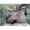 Image 9 : New Zealand: 4 Day 3 Night Himalayan tahr for 1 hunter and 1 observer,  trophy fee included