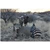 Image 3 : Namibia: 5 Day Safari for 2 hunt, includes 2 Hartman (Mountain)  Zebra.