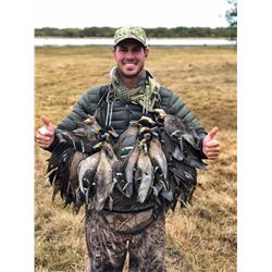 Argentina: 5 Day 6 Night High Volume Duck & Dove Hunt for 3 Hunters