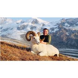 Alaska: Governor’s Delta Controlled Use Area Dall Sheep Tag (DS203/DS204) for One Hunter