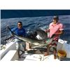 Image 3 : Mexico: 7 Day Roosterfish, Blue Marlin & Sailfish Fish Slamming Safari for 1 Angler