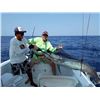 Image 5 : Mexico: 7 Day Roosterfish, Blue Marlin & Sailfish Fish Slamming Safari for 1 Angler
