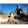 Image 2 : Mexico: 6 Day 7 Night Trophy Coues Deer Hunt for 1 Hunter with Safari Unlimited