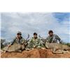 Image 4 : Mexico: 6 Day 7 Night Trophy Coues Deer Hunt for 1 Hunter with Safari Unlimited