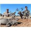 Image 5 : Mexico: 6 Day 7 Night Trophy Coues Deer Hunt for 1 Hunter with Safari Unlimited