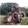 Image 2 : Spain: 5 Day 4 Night Big Game Hunt for 1 Hunter / Includes 1 Observer or $2,000 Trophy Fee Credit.