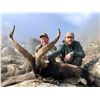 Image 4 : Spain: 5 Day 4 Night Big Game Hunt for 1 Hunter / Includes 1 Observer or $2,000 Trophy Fee Credit.