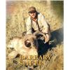 Image 13 : Spain:Trophy Big Game for 1 Hunter/Includes 1 of the following Roe,Red,or Fallow Deer or Mouflon