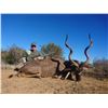 Image 8 : South Africa: 10 Day Plains Game Hunt for 2 Hunters, Includes a $5,000 Trophy Fee Credit