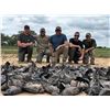 Image 1 : Argentina: 5 Day 4 Night High Volume Eared Dove Hunt for 6 Hunters
