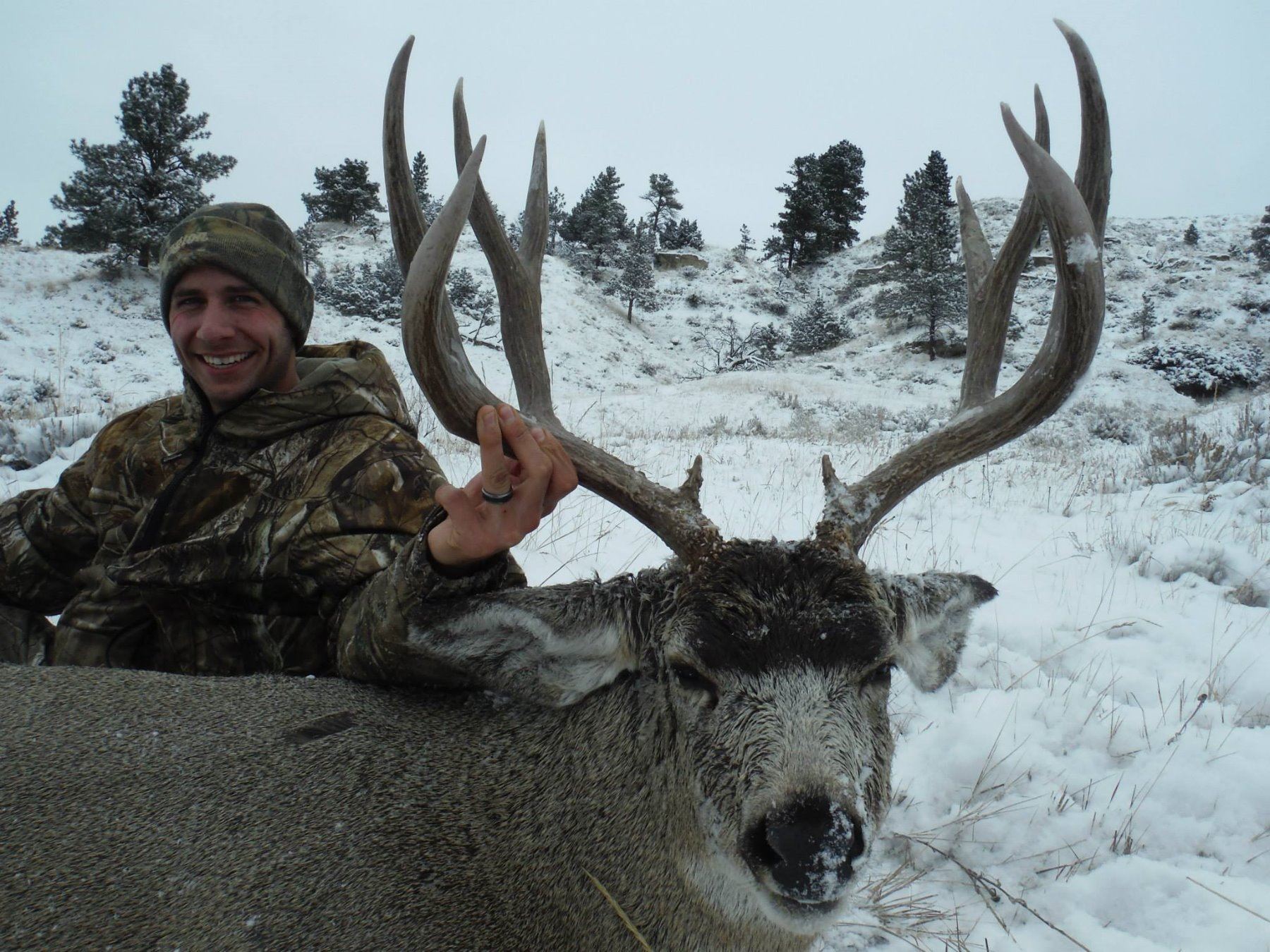 Montana 5 Day Guided Mule Deer Hunt For 1 Hunter October 25th Thru Montana 5 Day Guided Mule Deer Hunt For 1 Hunter October 25th Thru