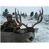 Image 3 : Montana: 5 Day guided mule deer hunt for 1 hunter, October 25th thru 29th 2020