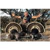Image 3 : Mexico: 4 Day 5 Night Gould Turkey Hunt for 2 Hunters with Safari Unlimited