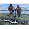 Image 5 : Alaska:  Prince William Sound Overnight Live Aboard Sea Duck Hunting Adventure for 4 hunters