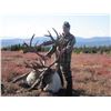 Image 2 : Alaska: Governors SC827 Central Alaska Range Caribou (same as DC827) Permit for 1 Hunter.