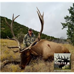 New Mexico: 5 Day Elk/Bear Combination Muzzle loader or rifle hunt for 2 hunters.