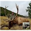 Image 1 : New Mexico: 5 Day Elk/Bear Combination Muzzle loader or rifle hunt for 2 hunters.