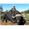 Image 13 : South Africa: 7 Day Plains Game Hunt for 1  Hunter & 1 One Observer, Includes a $4,500 tf credit