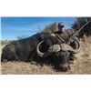 Image 14 : South Africa: 7 Day Plains Game Hunt for 1  Hunter & 1 One Observer, Includes a $4,500 tf credit