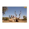 Image 5 : South Africa: 7 Day Plains Game Hunt 2 Hunters 2 Observers/Includes a $5,000 Trophy Fee Credit.