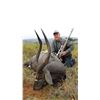Image 11 : South Africa:10 D Big 5 Hunt for 2 hunters, includes $16,200 TF credit or 4 trophies