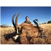 Image 4 : South Africa: 7 Day 7 Night Roan Antelope Hunt for 1 Hunter and 1 Observer / Includes the Trophy Fee