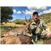 Image 5 : South Africa: 7 Day 7 Night Roan Antelope Hunt for 1 Hunter and 1 Observer / Includes the Trophy Fee