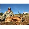 Image 8 : South Africa: 7 Day 7 Night Roan Antelope Hunt for 1 Hunter and 1 Observer / Includes the Trophy Fee