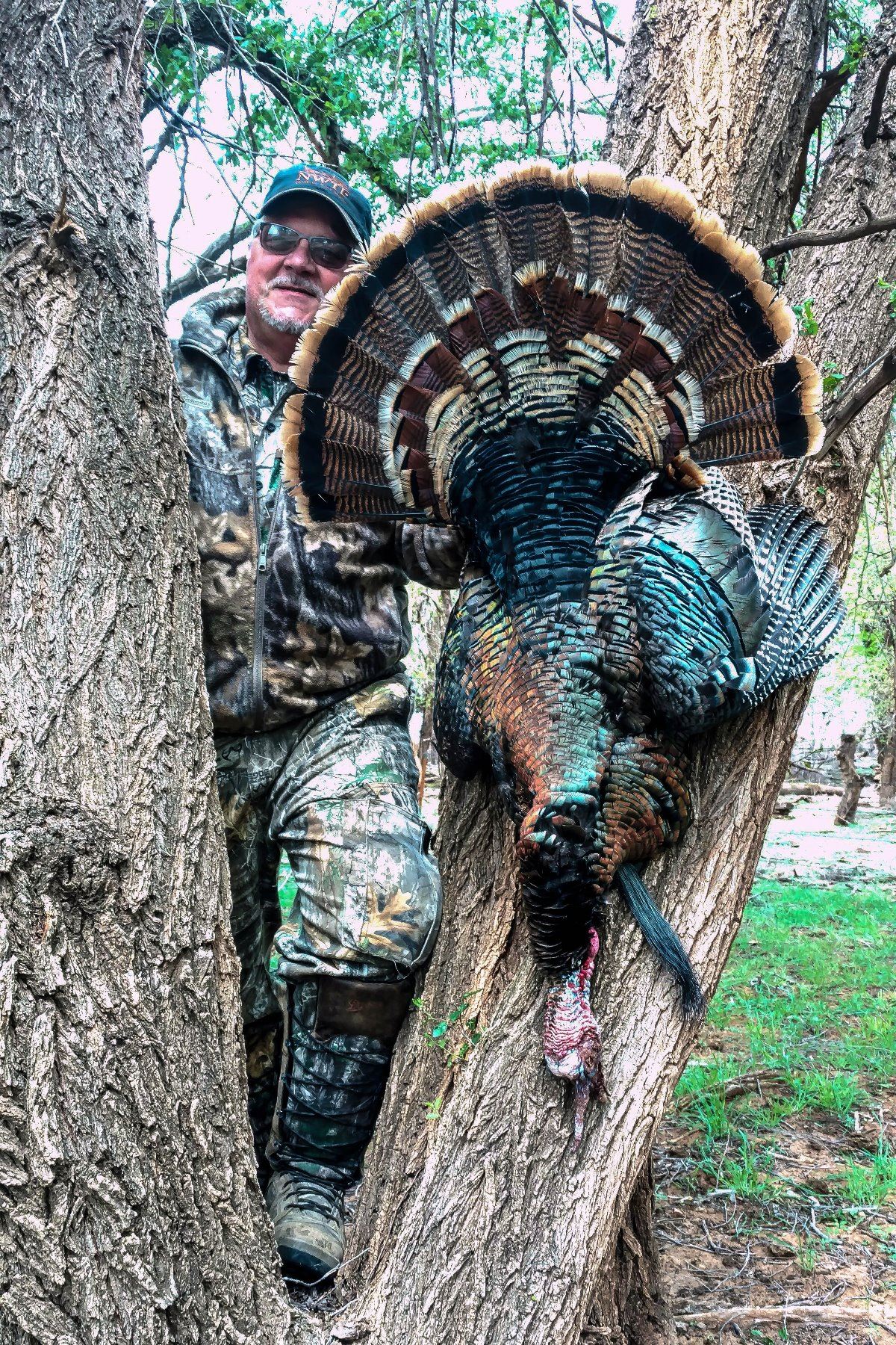 Texas 3 Day Rio Grande Turkey Hunt For 1 Hunter Includes 2 Turkeys Texas 3 Day Rio Grande Turkey Hunt For 1 Hunter Includes 2 Turkeys