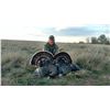 Image 3 : Texas: 3 Day Rio Grande Turkey Hunt for 1 Hunter, includes 2 turkeys