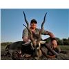 Image 3 : Argentina: 4 Day Big Game Hunt for 1 Hunter, includes 1 blackbuck and 1 Hybrid Sheep