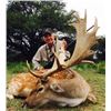 Image 4 : Argentina: 4 Day Big Game Hunt for 1 Hunter, includes 1 blackbuck and 1 Hybrid Sheep