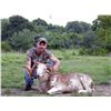 Image 3 : Texas: 3 Day 2 Night Whitetail & Exotic Combo Hunt for 2 Hunters / Includes $6,000 Trophy Fee