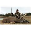 Image 4 : Texas: 3 Day 2 Night Whitetail & Exotic Combo Hunt for 2 Hunters / Includes $6,000 Trophy Fee