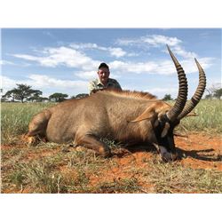 South Africa: 7 Day 7 Night Roan Antelope Hunt for 1 Hunter and 1 Observer / Includes the Trophy Fee