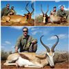 Image 3 : South Africa: 10-Day Plains Game Safari for Two Hunters, Includes a $5000 Trophy Fee Credit